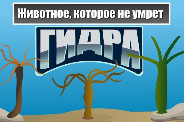 Кракен тор текст