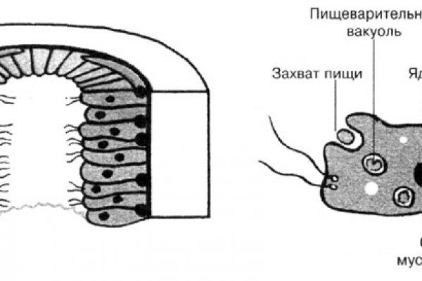 Kraken даркнет маркет