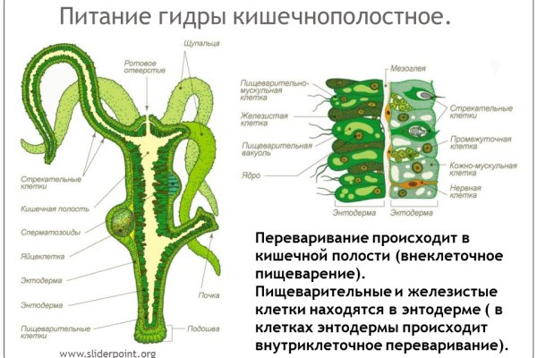 Кракен сайт официальный ссылка kraken clear com