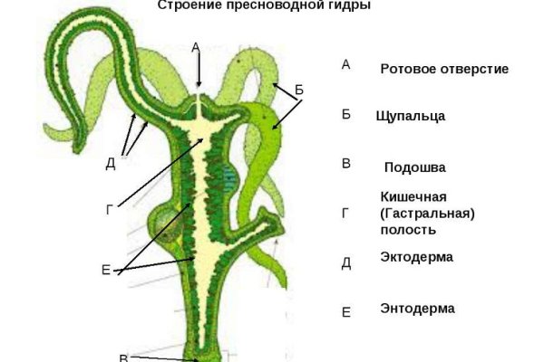 Кракен как зайти через тор браузер